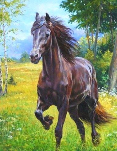 Алмазная мозаика My Art Лошадь на подрамнике квадратные алмазы 40х50 см (ТН705)