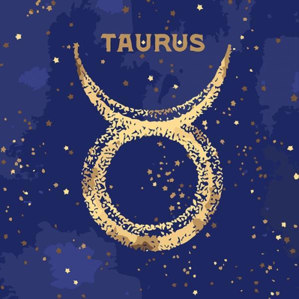 Картина по номерам Идейка Абстракция Краска металлик Знак зодиака Телец 50х50 см в коробке (КН9519-mt)