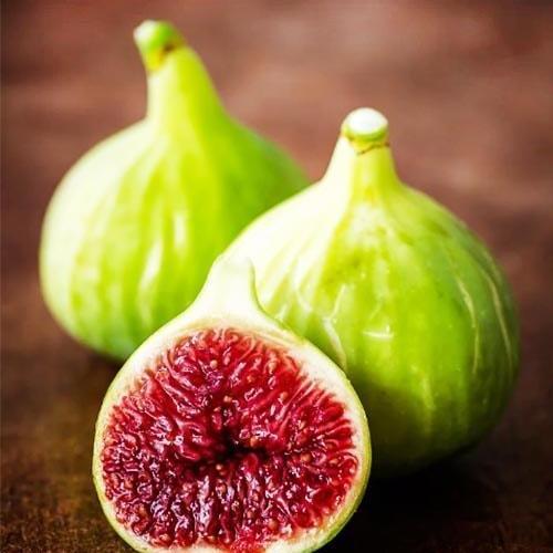 Саджанець Інжир Білий Адріатичний (36082)