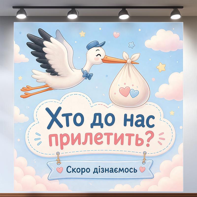 Баннер для определения пола ребенка Кто к нам прилетит с аистом 200x200см, №48505 Баннер для определения пола ребенка Кто к нам прилетит с аистом 200x200см, №48505