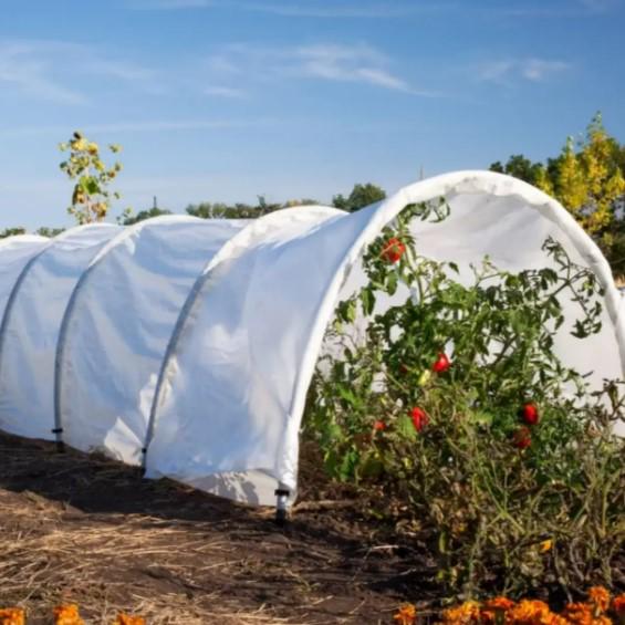 Теплица для дачи Shadow 60 г/м2 5 м (ПАВ000161) - фото 3 Теплица для дачи Shadow 60 г/м2 5 м (ПАВ000161) - фото 3