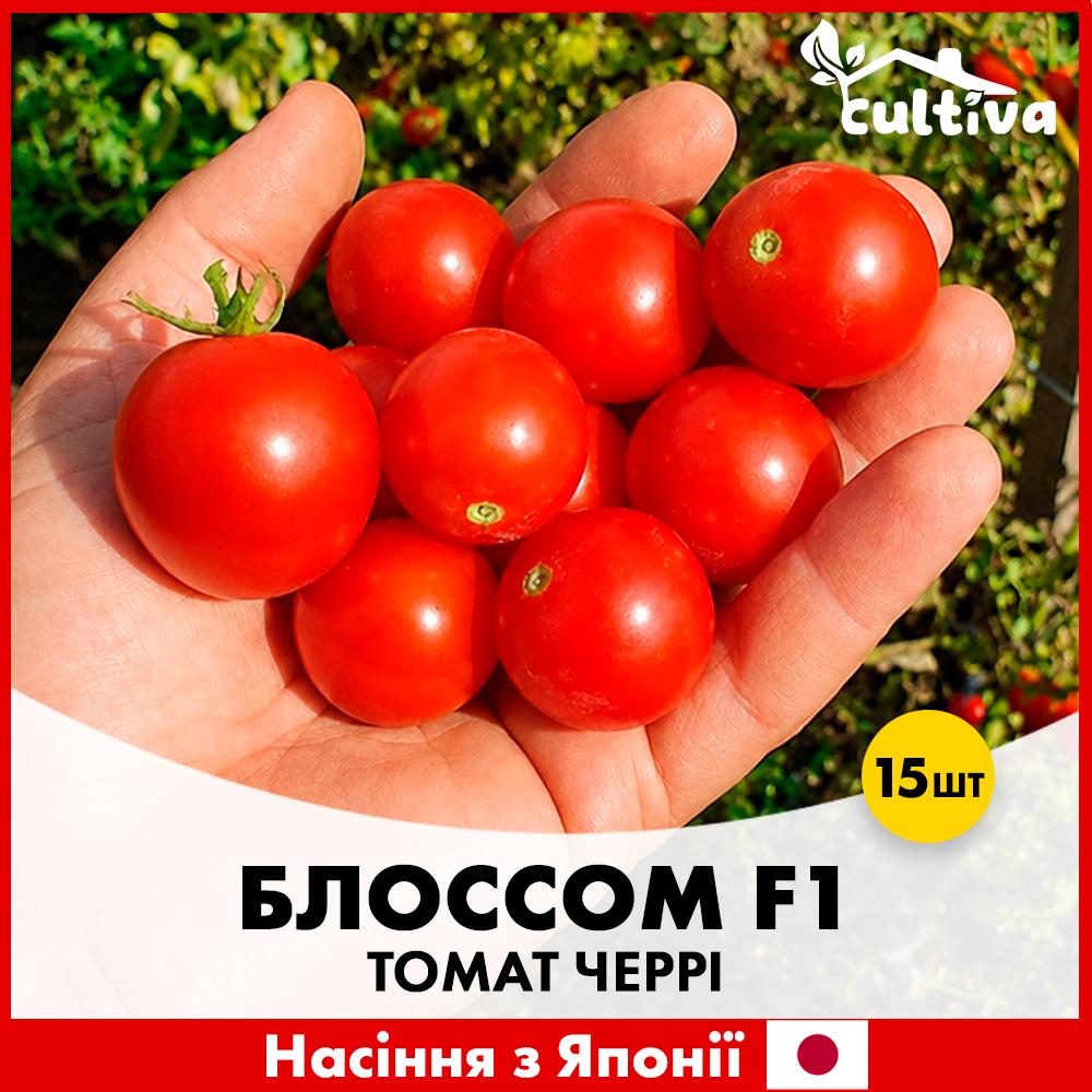 Семена томата черри Sakata Блоссом F1 15 шт. (R51274_15)
