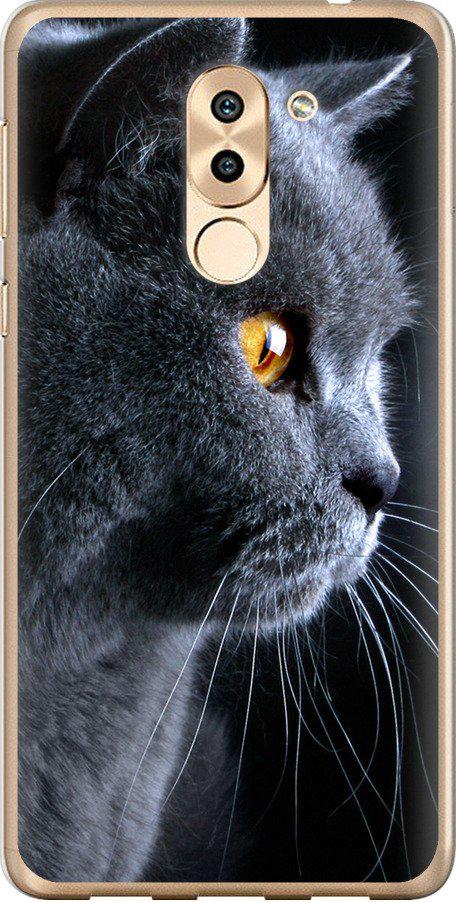 Чехол на Huawei Honor 6X Красивый кот (3038t-460-42517)