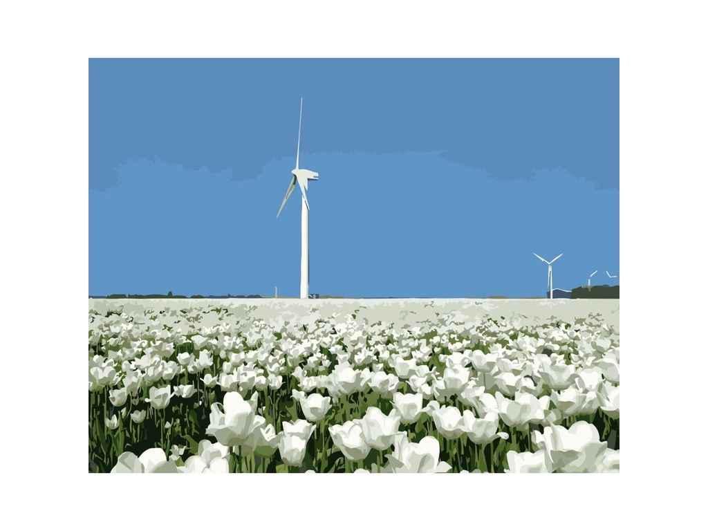 Картина по номерам Strateg Парусник в поле цветов 40х50 см (DY089)