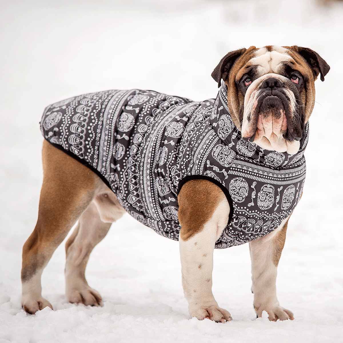 Жилет Diego Sport размер 8 Череп