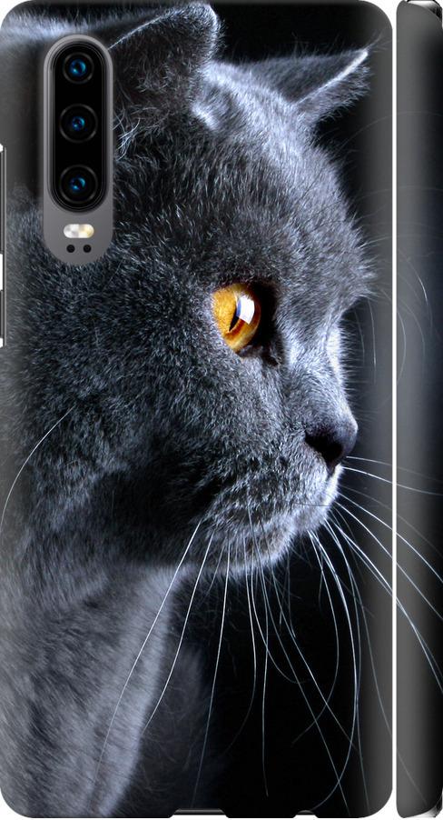 Чехол на Huawei P30 Красивый кот (3038m-1622-42517)