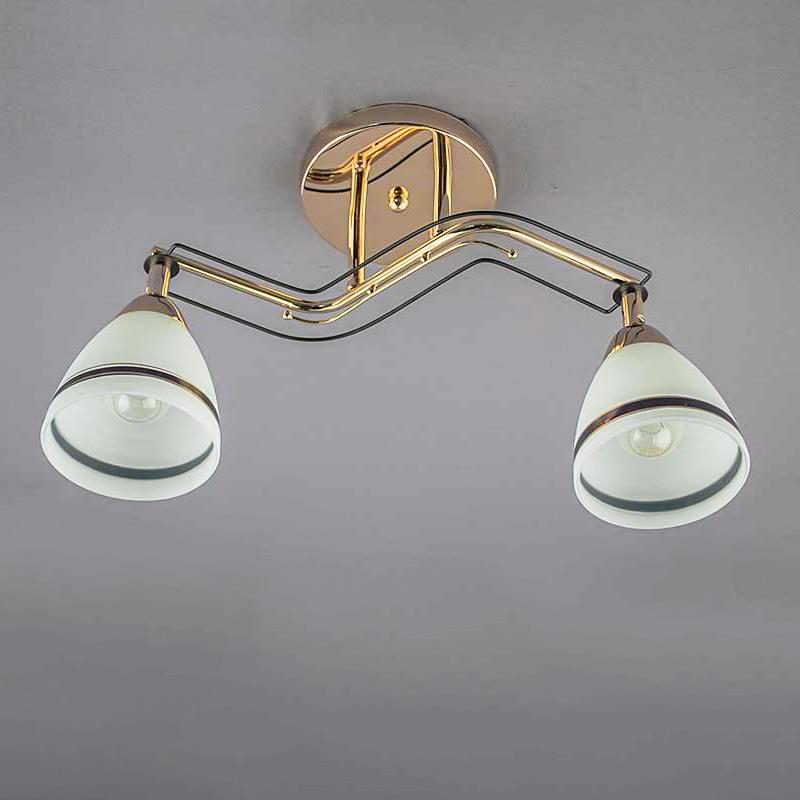 Люстра стельова Light House SH-12417/2 FG + BK на дві лампи Золото