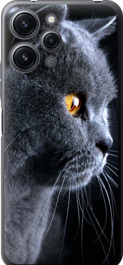 Чехол на Xiaomi Redmi 12 Красивый кот (3038u-3114-42517)