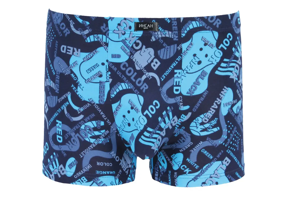 Мужские боксеры стрейчевые Бамбук Indena Insung XL р. 46 2 шт. Голубой (INS-18615)