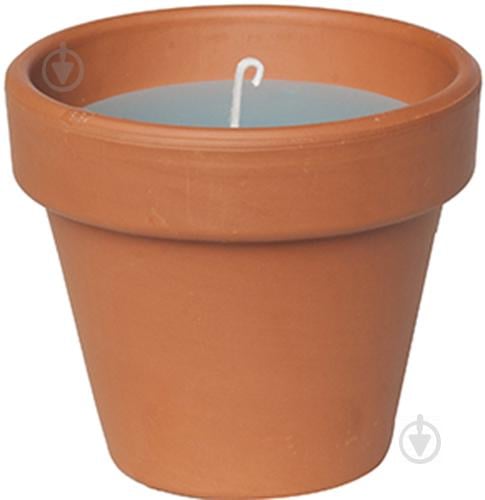 Свеча Candle pot Стандарт 10 х 11 см Коричневый с синим (000001351) Свеча Candle pot Стандарт 10 х 11 см Коричневый с синим (000001351)