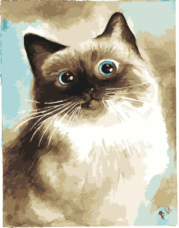 Картина за номерами Strateg Чудова кішка 40х50 см (DY180)