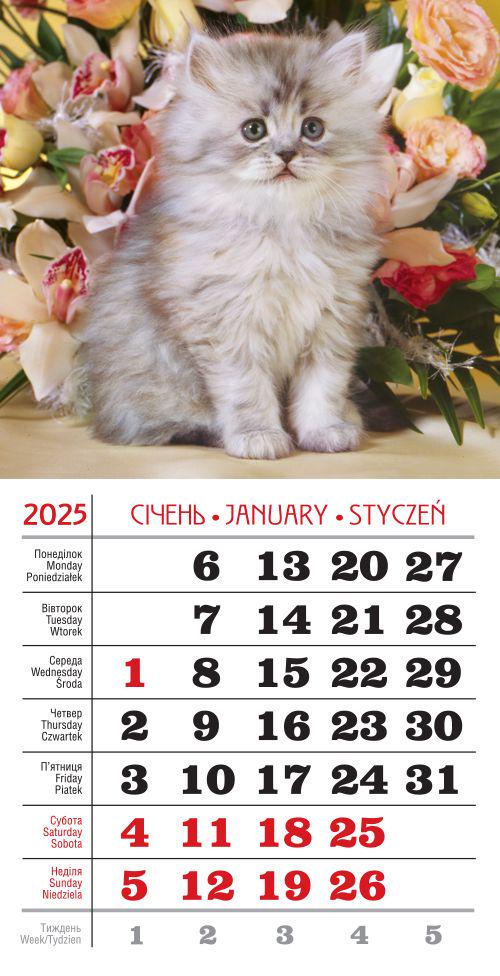 Календар на 2025 р. Магніт Котик серед квітів Календар на 2025 р. Магніт Котик серед квітів