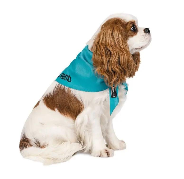 Бандана для собак Природа WEEKEND XS-S Блакитний (4823082421121) Бандана для собак Природа WEEKEND XS-S Блакитний (4823082421121)