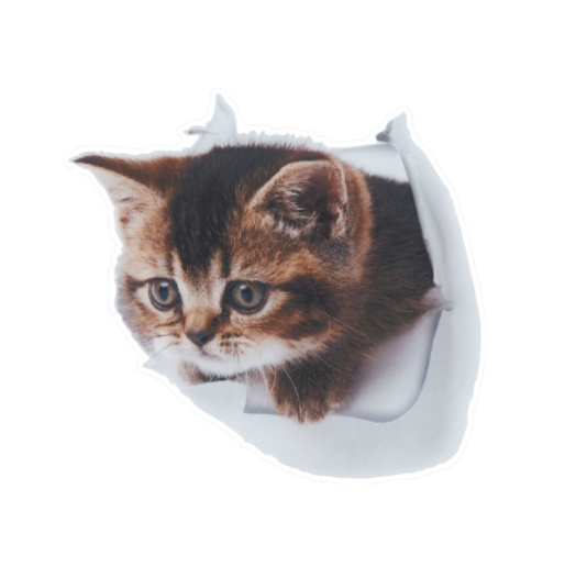 Наклейка на авто AIWA Кот 3D 02139