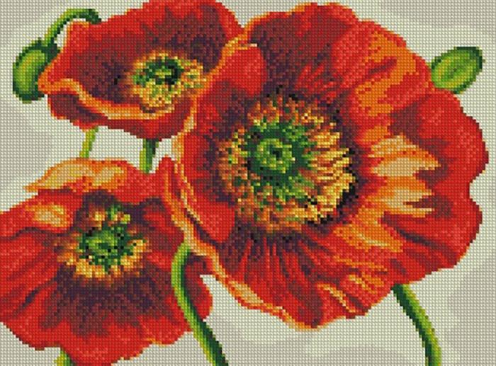 Алмазная мозаика Идейка Краски диких полей 30x40 см (AM6080)