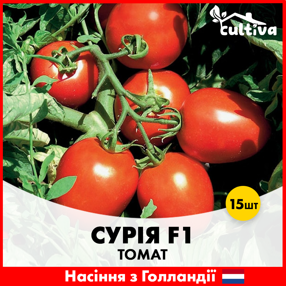 Семена томата Hazera Сурия F1 15 шт. (421)