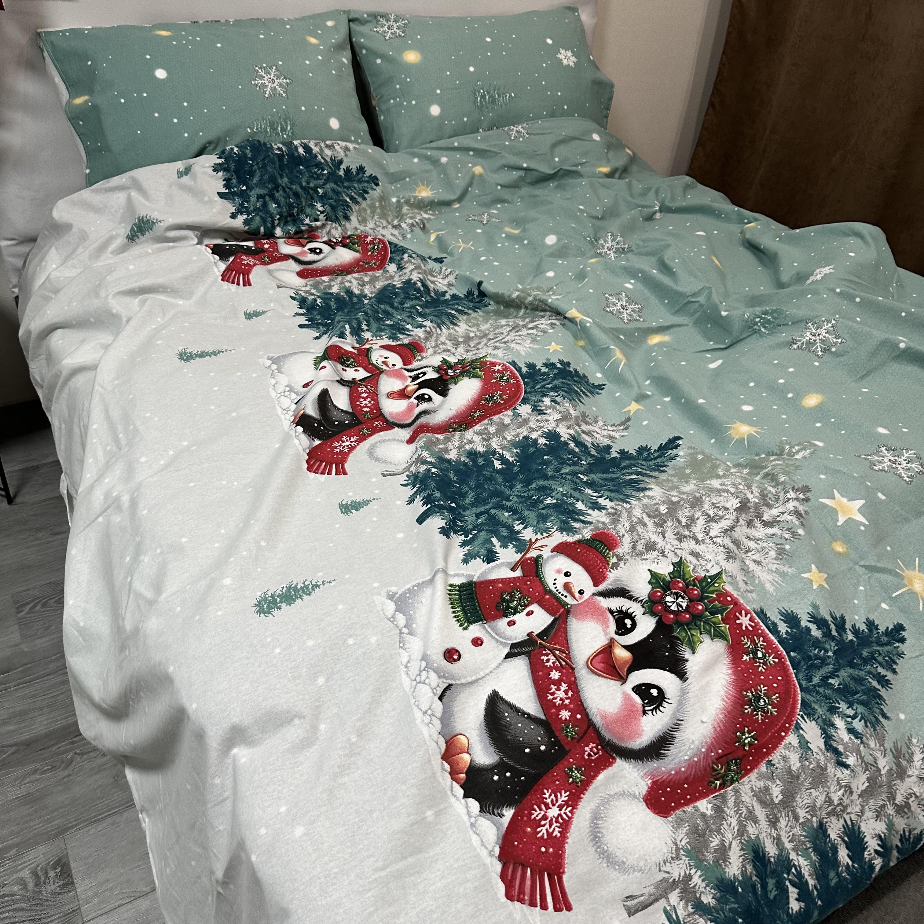 Комплект постільної білизни байкова Зимовий євро Бірюзовий (байка 10-3) - фото 9 Комплект постільної білизни байкова Зимовий євро Бірюзовий (байка 10-3) - фото 9