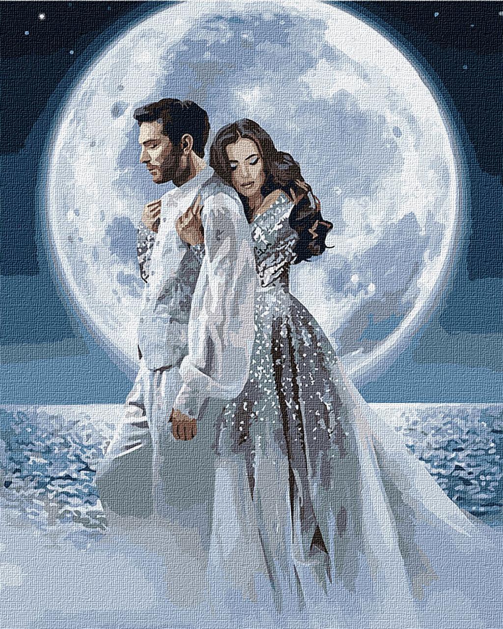 Картина по номерам Идейка Под лунным сиянием KHO4552 холст на подрамнике 40x50 см (1586845259)