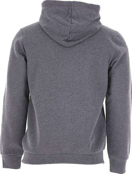 Кофта чоловіча спортивна Emporio Armani L Сірий (2F571-111784сір) - фото 2