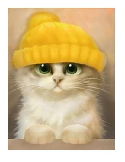 Картина по номерам Josef Otten Животные Котенок 40х50 см в термопакете (6050EOTG_O-mt)