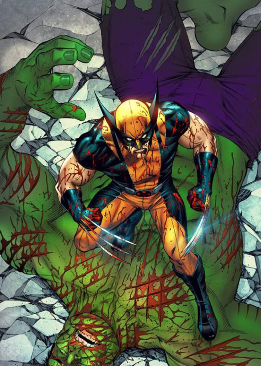 Картина GeekLand Wolverine 40х60 см (WR.09.025)