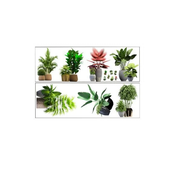 Наклейка интерьерная на стену Суккуленты 90x30 см 2 шт. (Q00729)