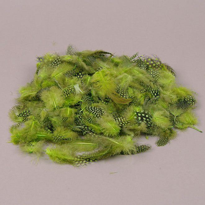 Перья декоративные Flora 12 г Зеленый (22890)