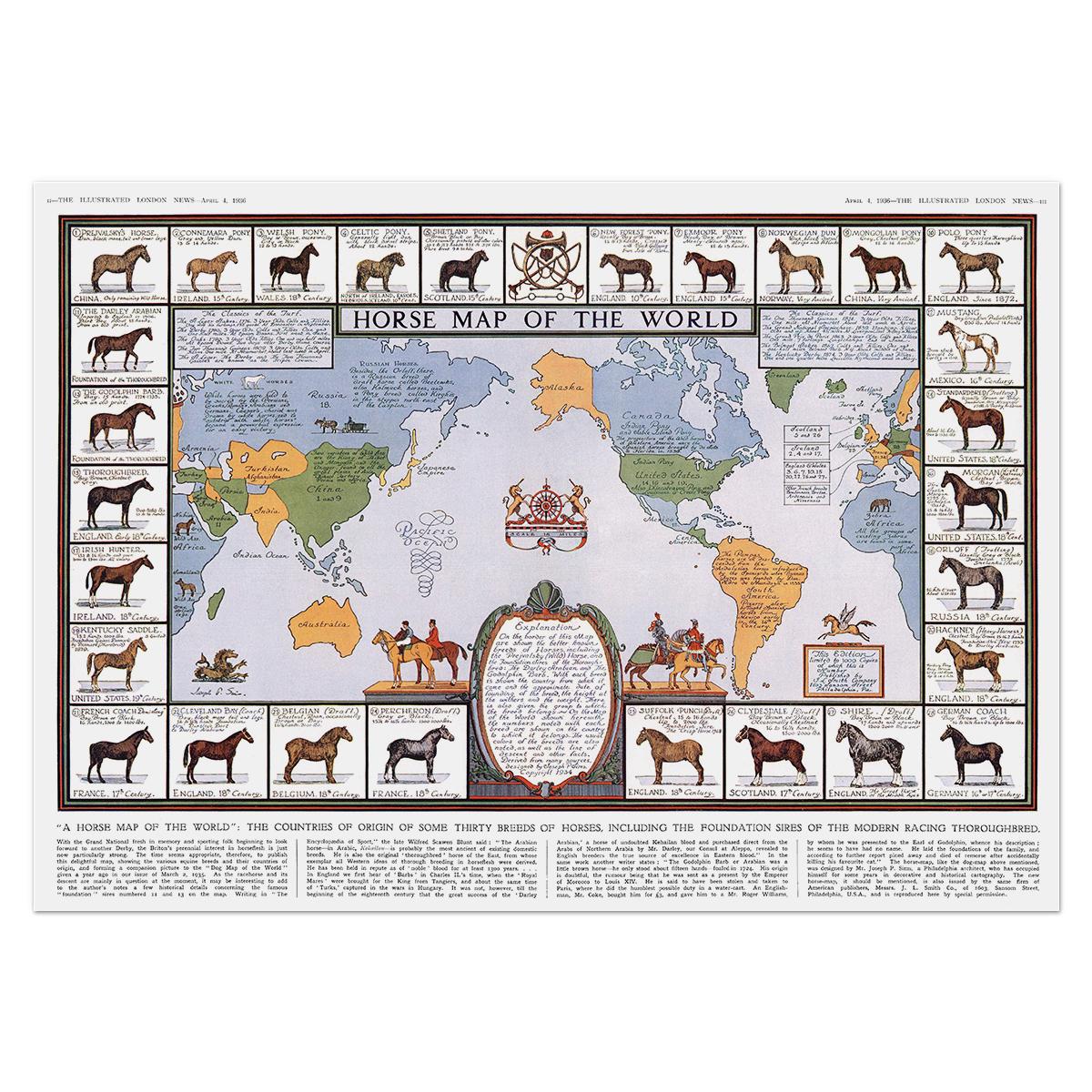 Карта конных пород 1936 76x54 см (0056)