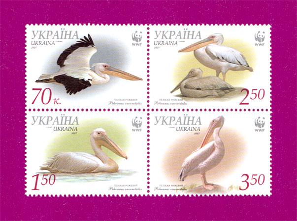 Почтовые марки Украины 2007 года сцепка Пеликан розовый WWF (200770004) Почтовые марки Украины 2007 года сцепка Пеликан розовый WWF (200770004)
