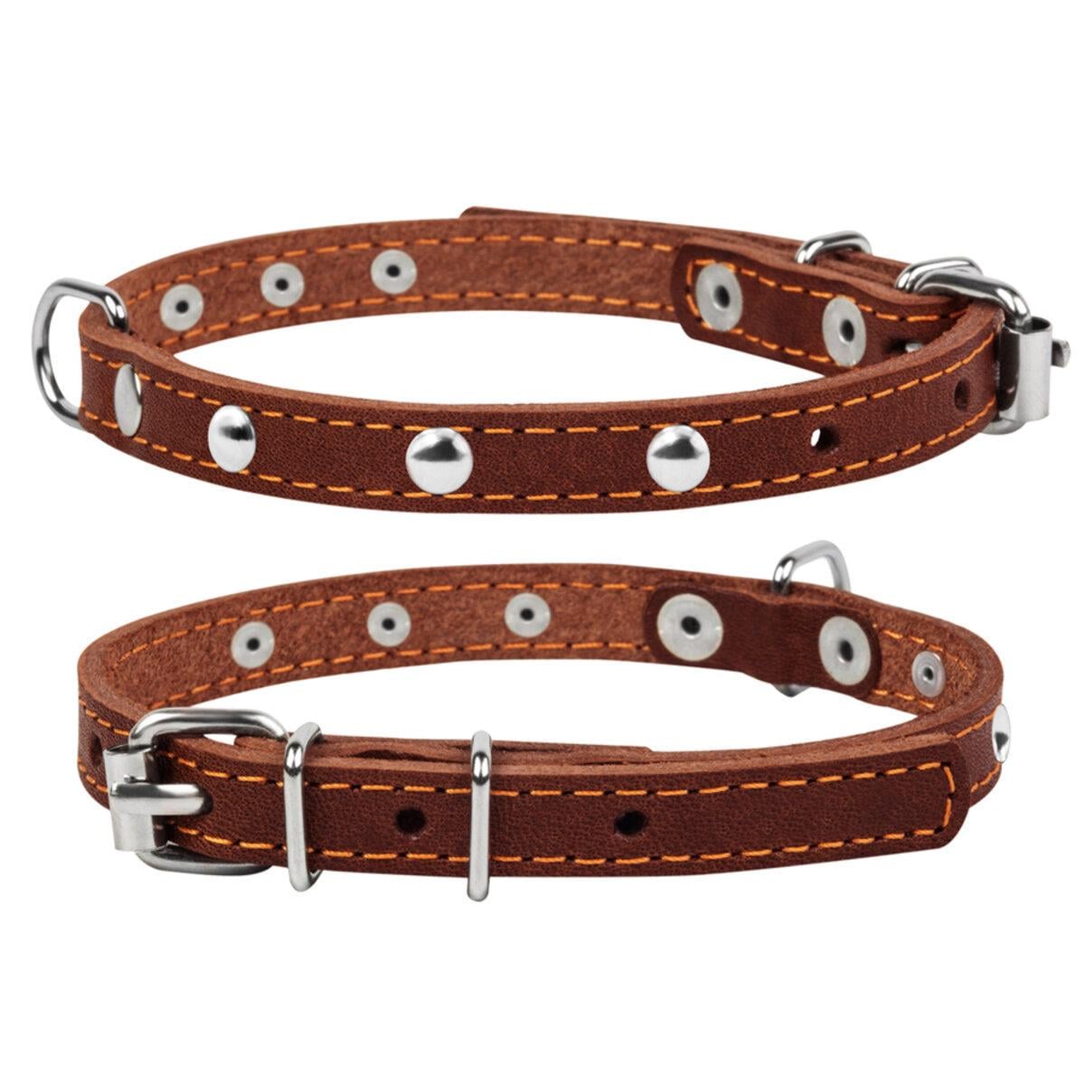 Ошейник CoLLaR одинарный с украшениями ширина 12 мм Д 24-32 см Коричневый