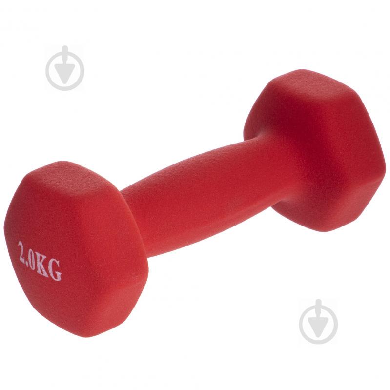 Гантели для фитнеса SP-Planeta Радуга TA-0001-2 2 Красный