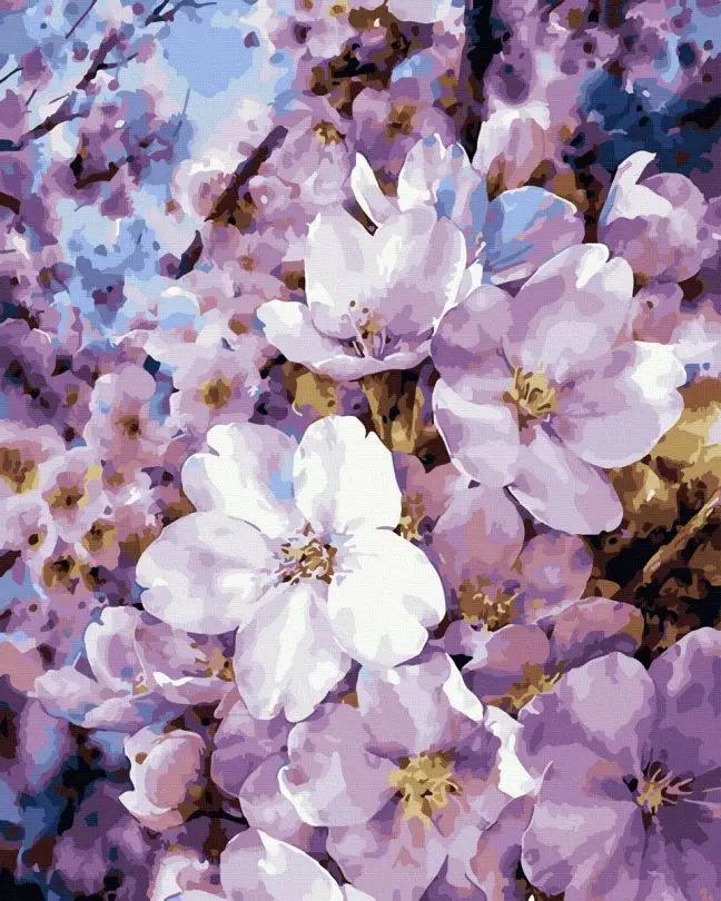 Картина по номерам Brushme Яблоневый цвет 40x50 см (BK-GX44462)