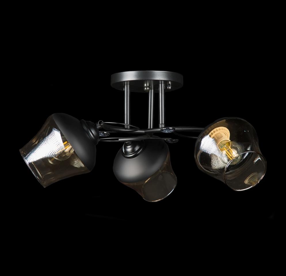 Люстра с плафонами Splendid Ray (L7398/3 BLK)