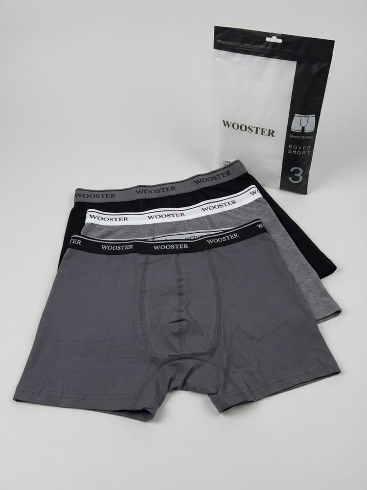 Трусы мужские Wooster 196059*00 3 шт. W-007W-080W-048 M Разноцветный (196059-М)