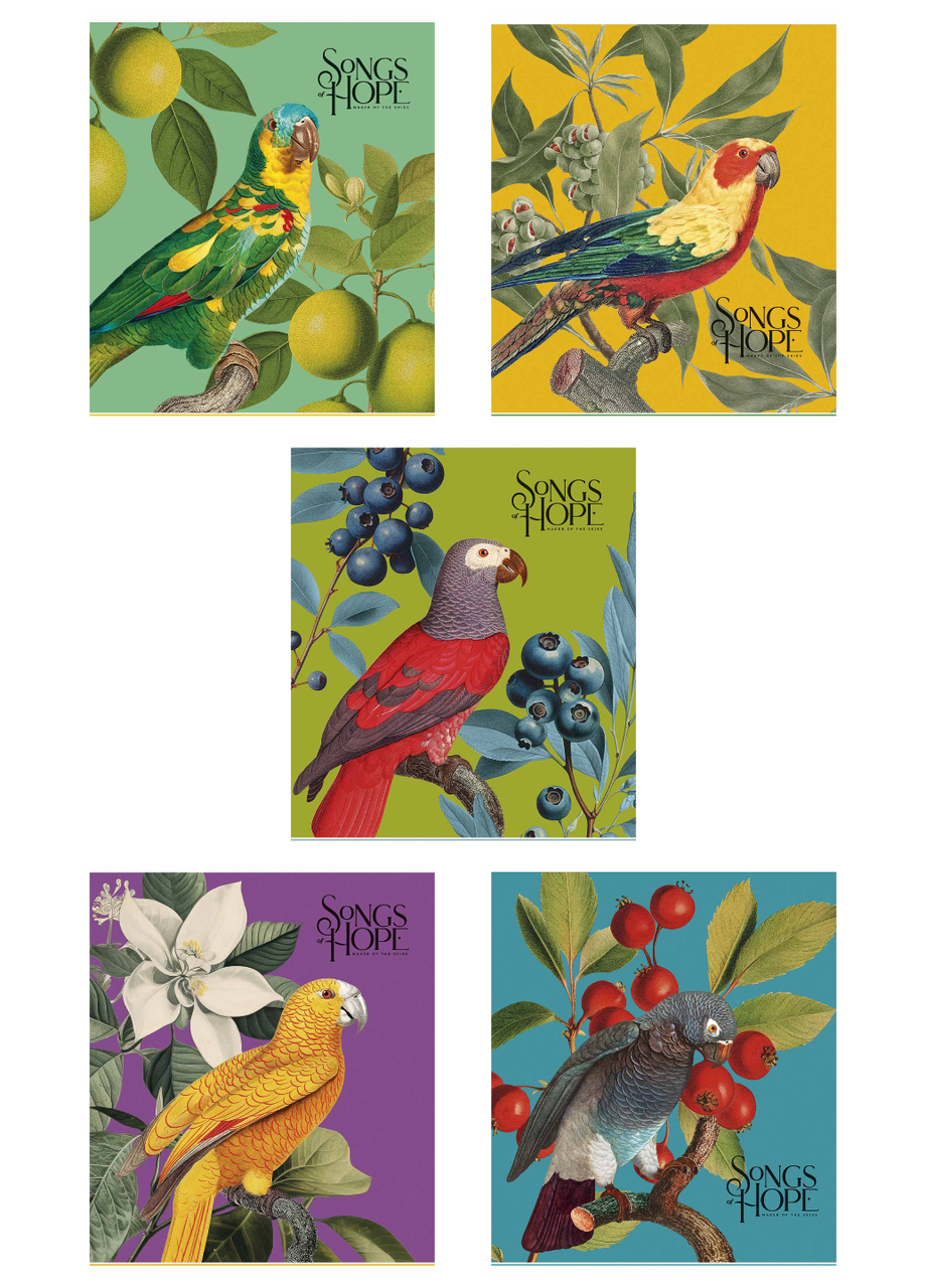 Зошити загальні Школярик Birds Star у клітинку 60 арк. 5 шт. (3410 4823088231960)