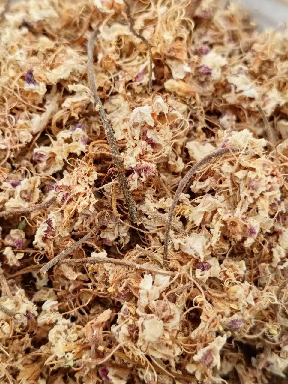 Каштан цвіт 25 г (29)