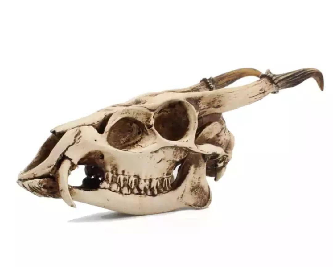 Фигурка Череп дикой козы (5350829)