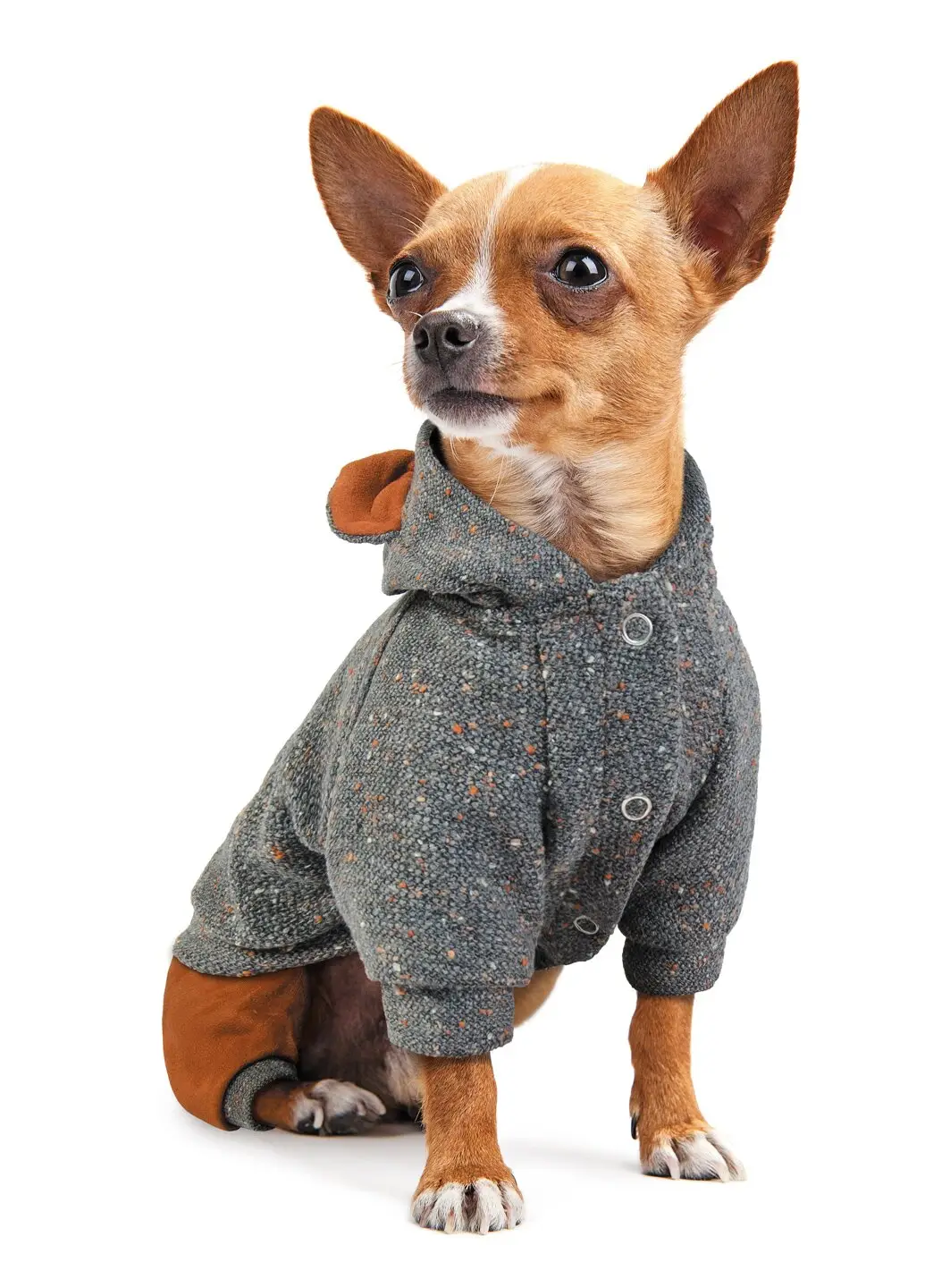 Костюм Pet Fashion Микки M Серый (100717)