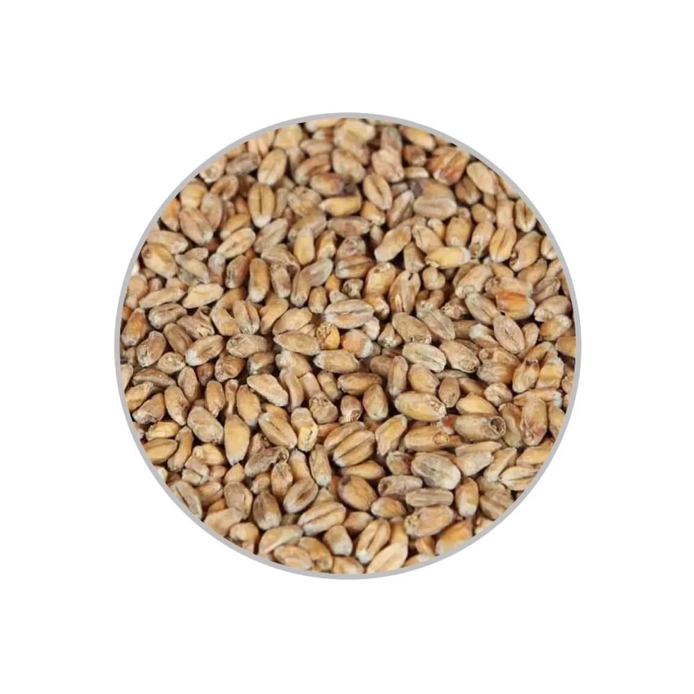 Солод Castle Malting Шато Ейсід 1 кг (1092) Солод Castle Malting Шато Ейсід 1 кг (1092)
