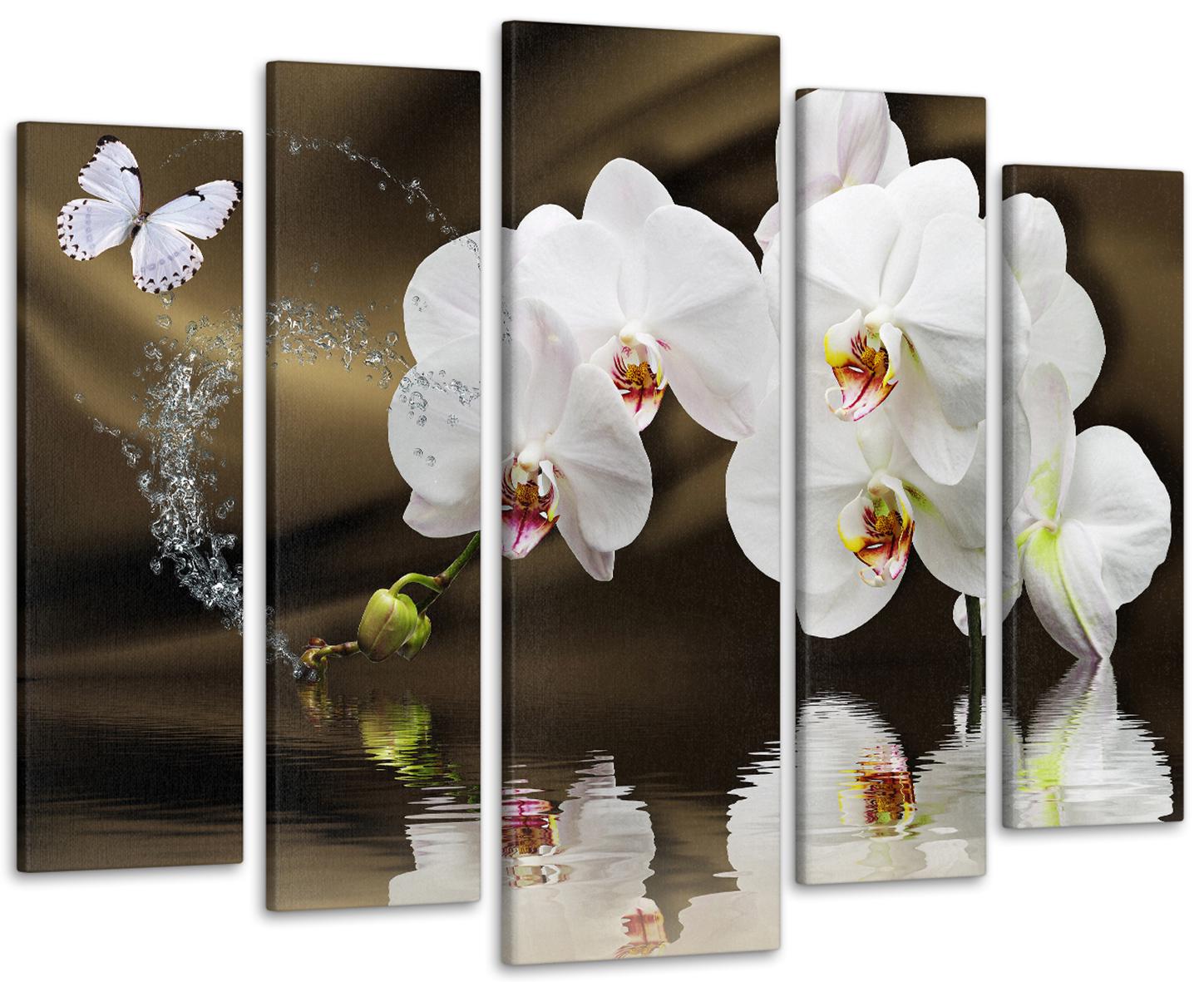 Картина модульная Орхидея Бабочка 99х140 см (Art-389_5)