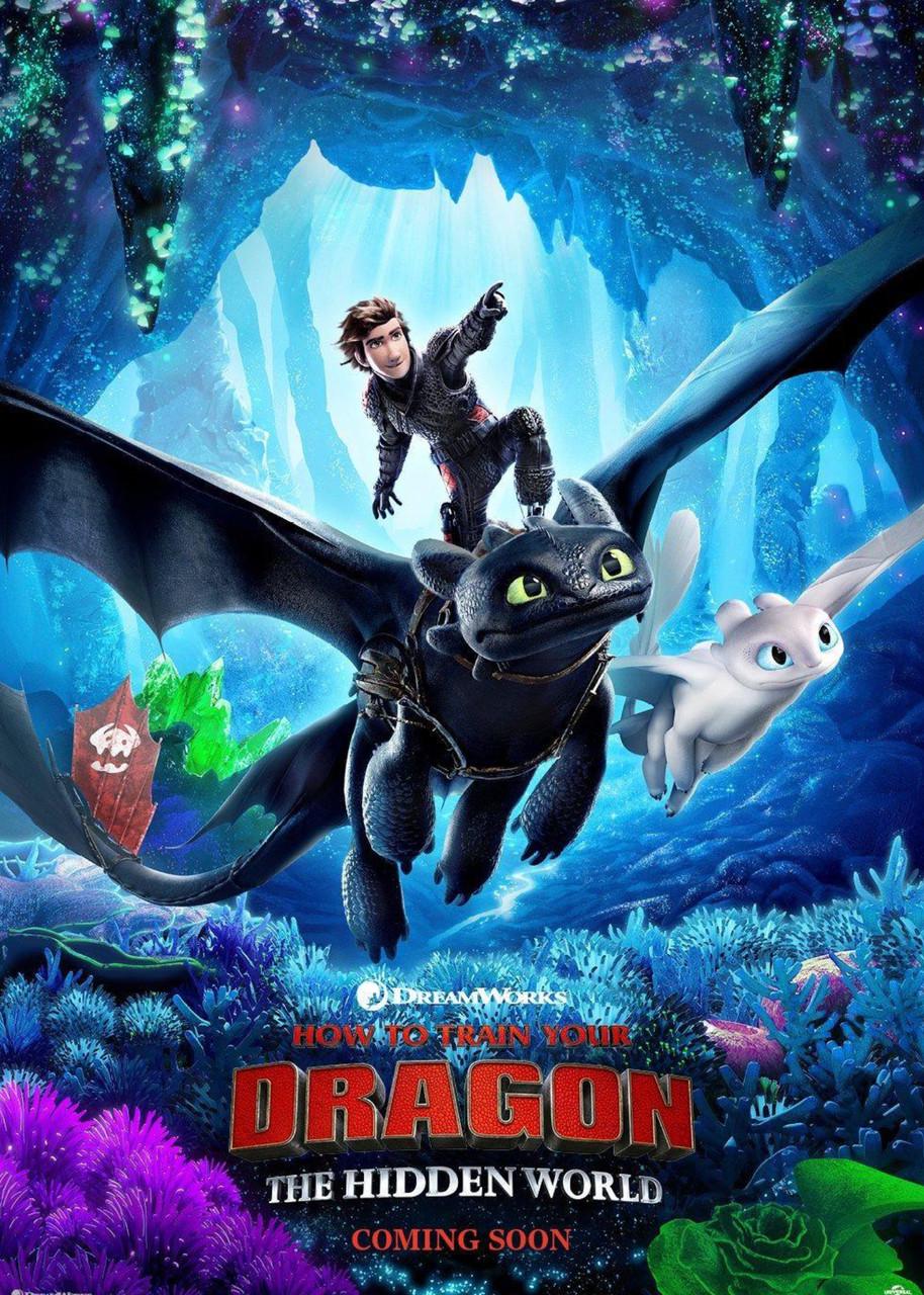 Картина GeekLand How to train your dragon (HD.09.100)