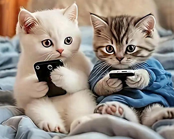 Алмазна мозаїка MY-Art Кошенята тіктокери на підрамнику круглі алмази 40х50 см (AR-3291)