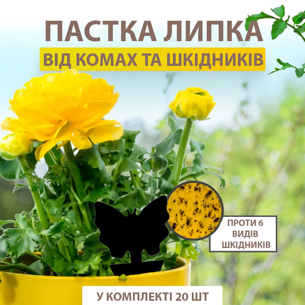 Набор ловушек черных от мошек и муравьев 20 шт. (144) - фото 4