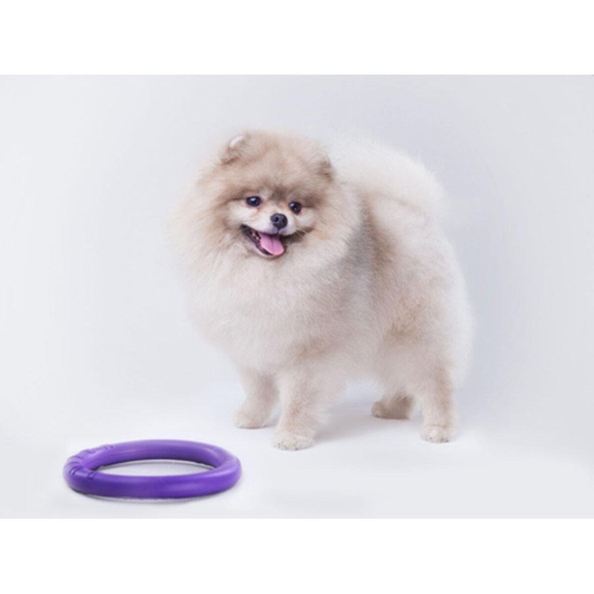 Тренувальний снаряд для собак PULLER Micro D 12,5 см (25881217) - фото 4 Тренувальний снаряд для собак PULLER Micro D 12,5 см (25881217) - фото 4