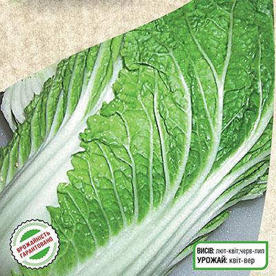 Семена Капуста Florium пекінська Мікадо F1 (7852) - фото 2 Семена Капуста Florium пекінська Мікадо F1 (7852) - фото 2