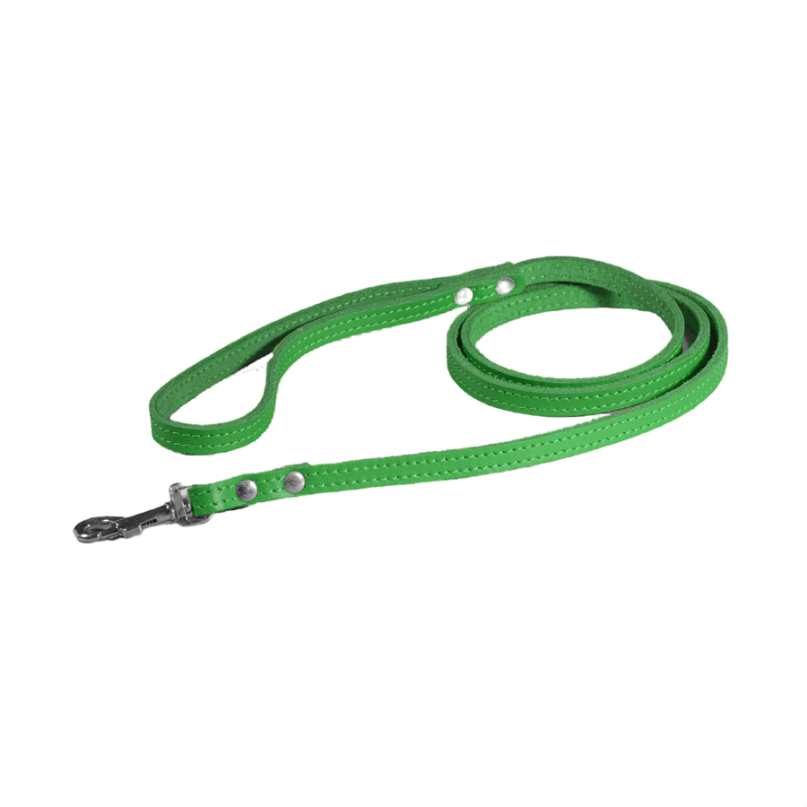 Поводок для собак и кошек кожаный Весна 1,2 м 12 мм Зеленый