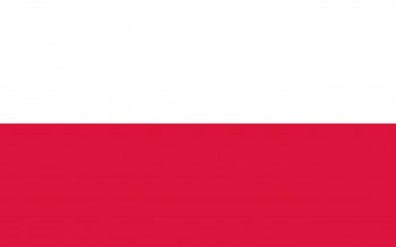 Флаг Республики Польша 600х900 мм (25739816)