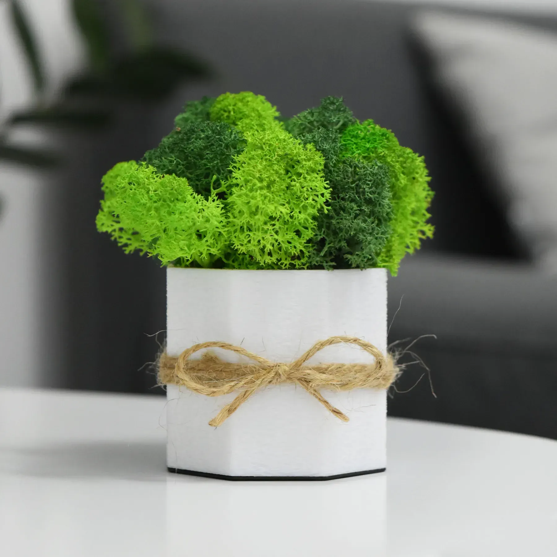 Кашпо Jungle со стабилизированным мхом Белый/Зеленый/Салатовый (KM-B-2)