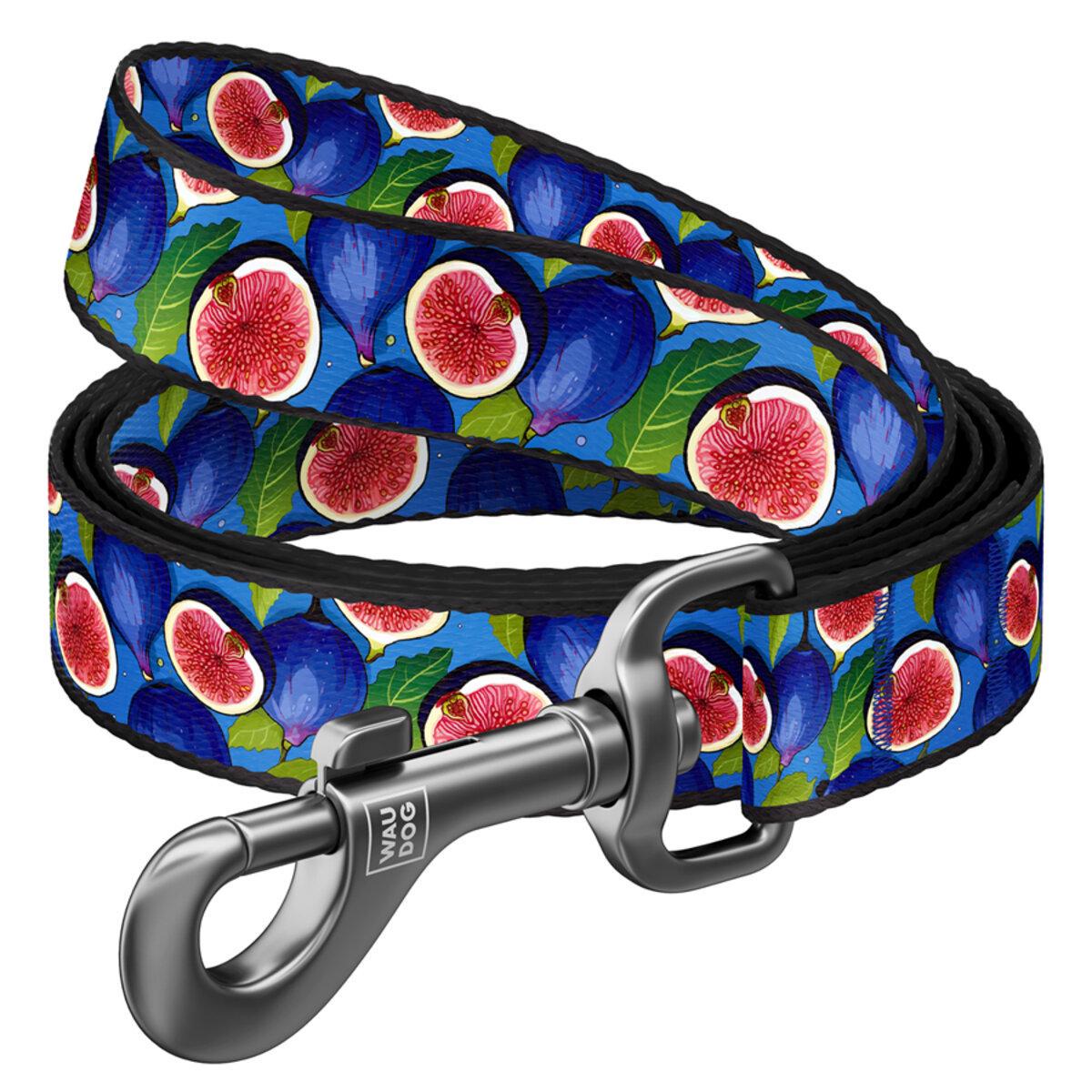 Повідець для собак Waudog Nylon Інжир M 20 мм х 300 см (761-4053 Col)