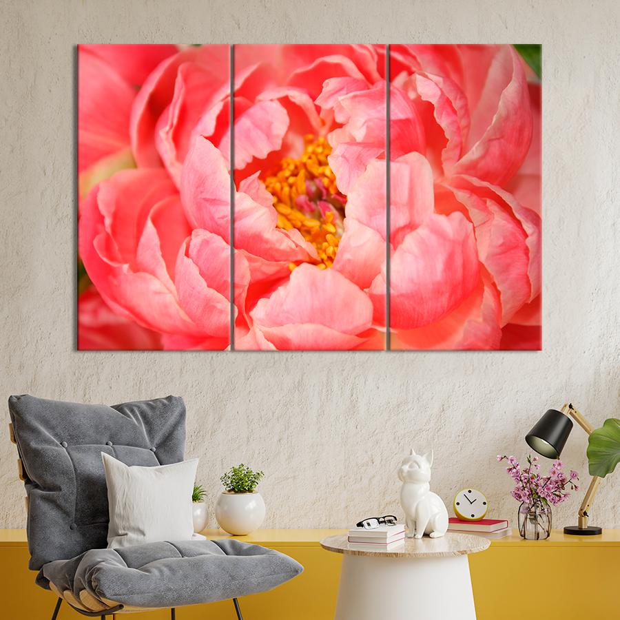 Картина цветы и растения Пион персикового цвета 156x100 см (A978-3)